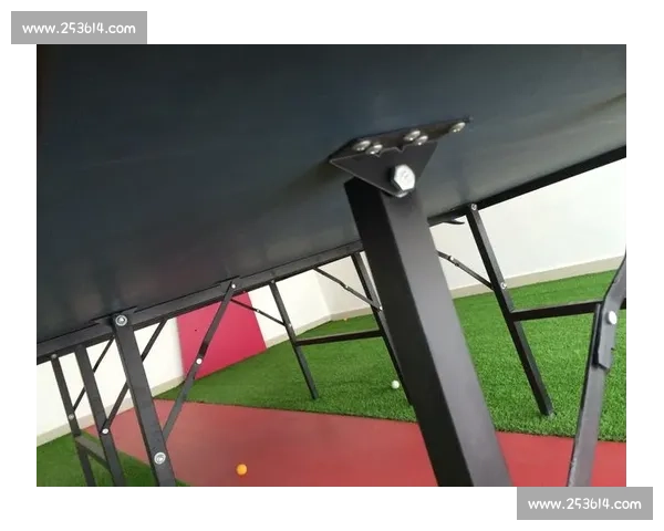 乒乓球台价格全面解析从入门到高端型号选择全攻略